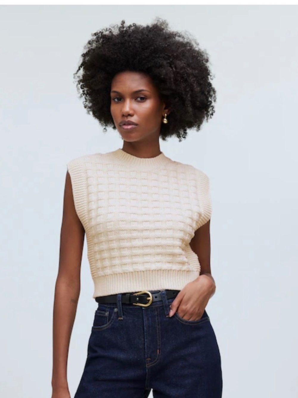 Madewell- Checkered-Stitch Wedge Sweater Vest